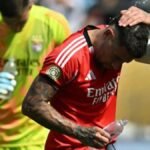 Wesley Sneijder Kritik Otamendi di Laga Benfica vs Madrid