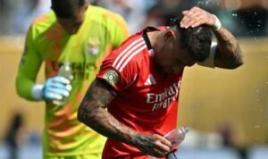 Wesley Sneijder Kritik Otamendi di Laga Benfica vs Madrid